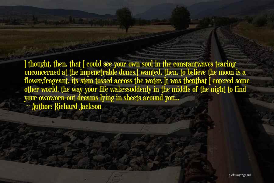 Richard Jackson Quotes: I Thought, Then, That I Could See Your Own Soul In The Constantwaves Tearing Unconcerned At The Impenetrable Dunes.i Wanted,