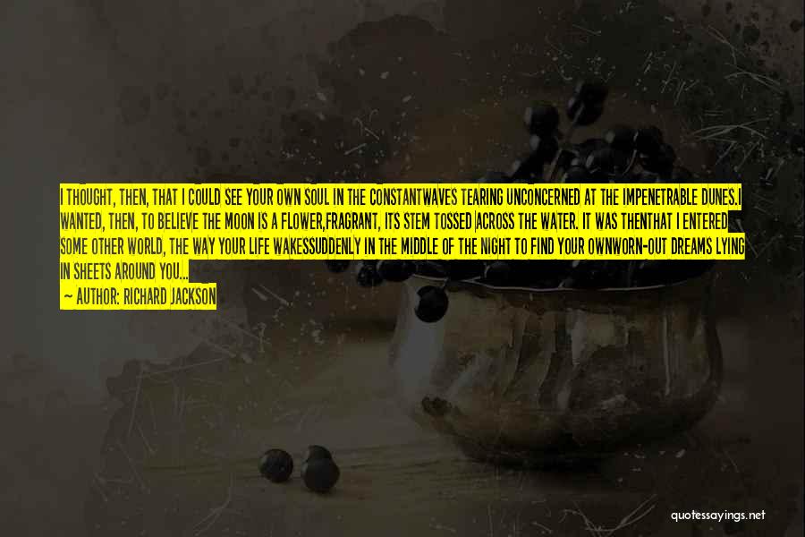 Richard Jackson Quotes: I Thought, Then, That I Could See Your Own Soul In The Constantwaves Tearing Unconcerned At The Impenetrable Dunes.i Wanted,