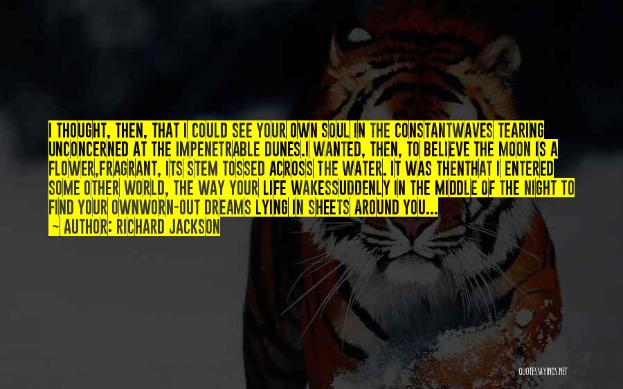 Richard Jackson Quotes: I Thought, Then, That I Could See Your Own Soul In The Constantwaves Tearing Unconcerned At The Impenetrable Dunes.i Wanted,