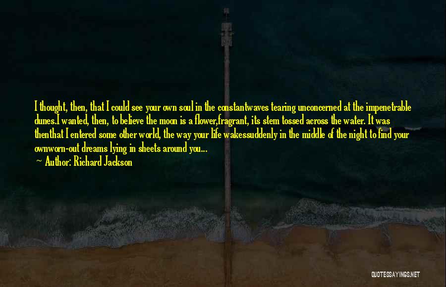 Richard Jackson Quotes: I Thought, Then, That I Could See Your Own Soul In The Constantwaves Tearing Unconcerned At The Impenetrable Dunes.i Wanted,