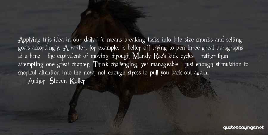 Steven Kotler Quotes: Applying This Idea In Our Daily Life Means Breaking Tasks Into Bite-size Chunks And Setting Goals Accordingly. A Writer, For
