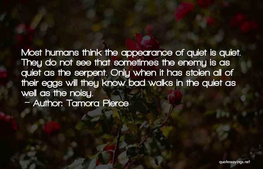 Tamora Pierce Quotes: Most Humans Think The Appearance Of Quiet Is Quiet. They Do Not See That Sometimes The Enemy Is As Quiet