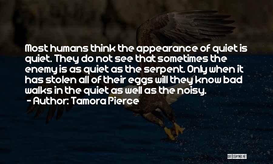 Tamora Pierce Quotes: Most Humans Think The Appearance Of Quiet Is Quiet. They Do Not See That Sometimes The Enemy Is As Quiet