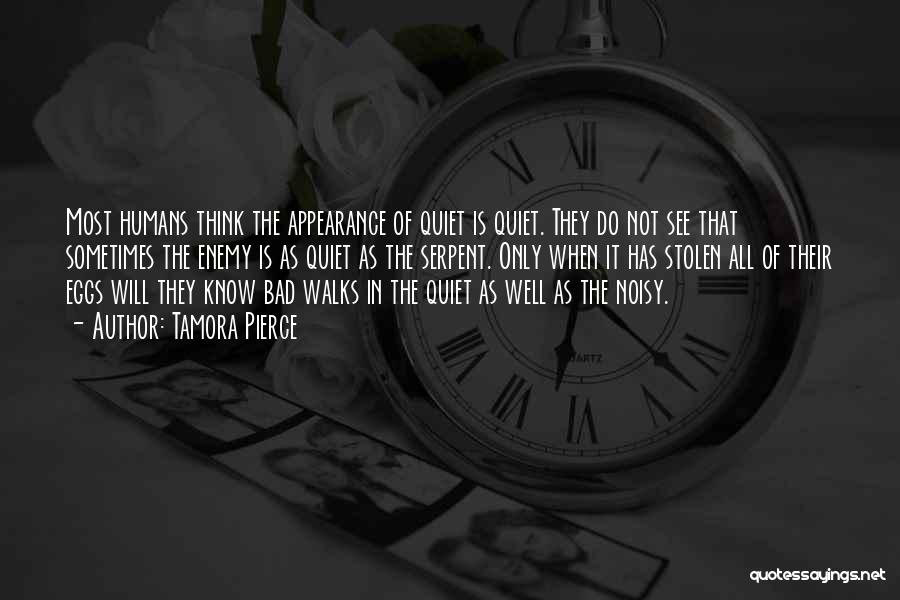 Tamora Pierce Quotes: Most Humans Think The Appearance Of Quiet Is Quiet. They Do Not See That Sometimes The Enemy Is As Quiet