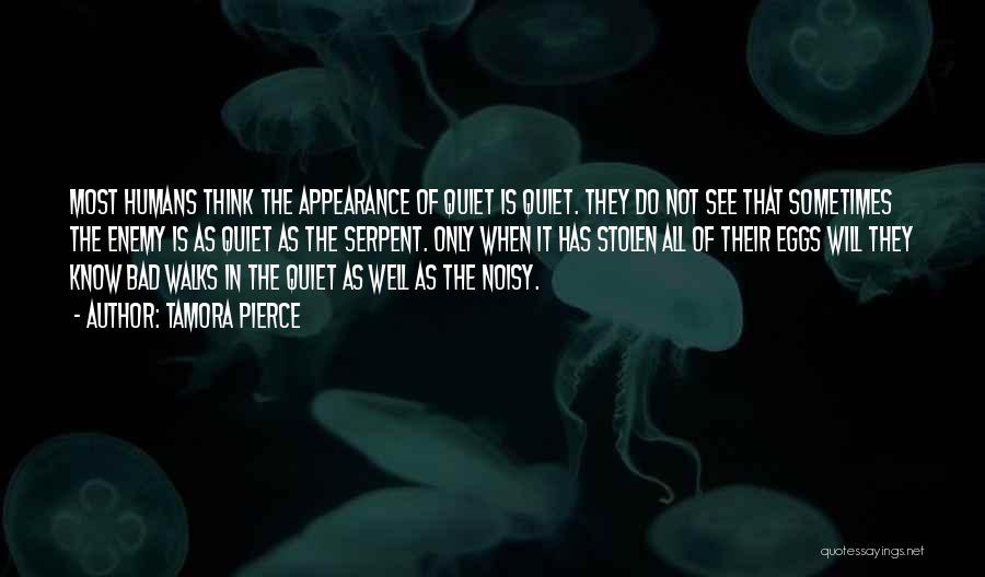 Tamora Pierce Quotes: Most Humans Think The Appearance Of Quiet Is Quiet. They Do Not See That Sometimes The Enemy Is As Quiet
