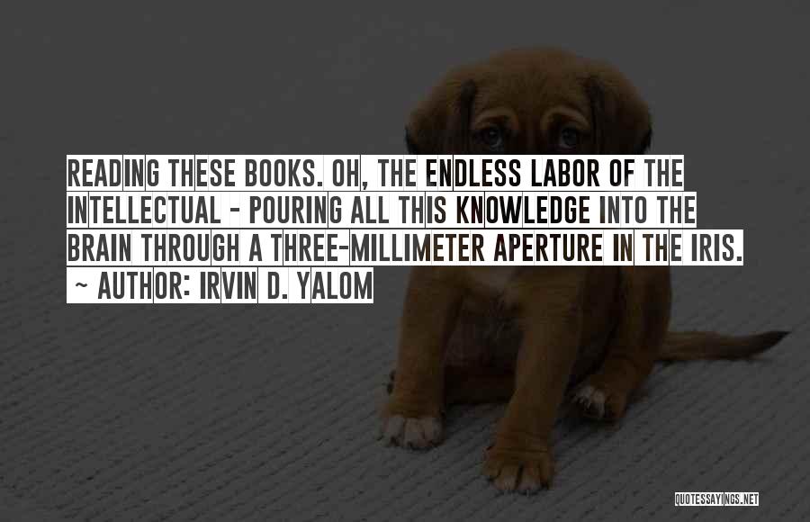 Irvin D. Yalom Quotes: Reading These Books. Oh, The Endless Labor Of The Intellectual - Pouring All This Knowledge Into The Brain Through A