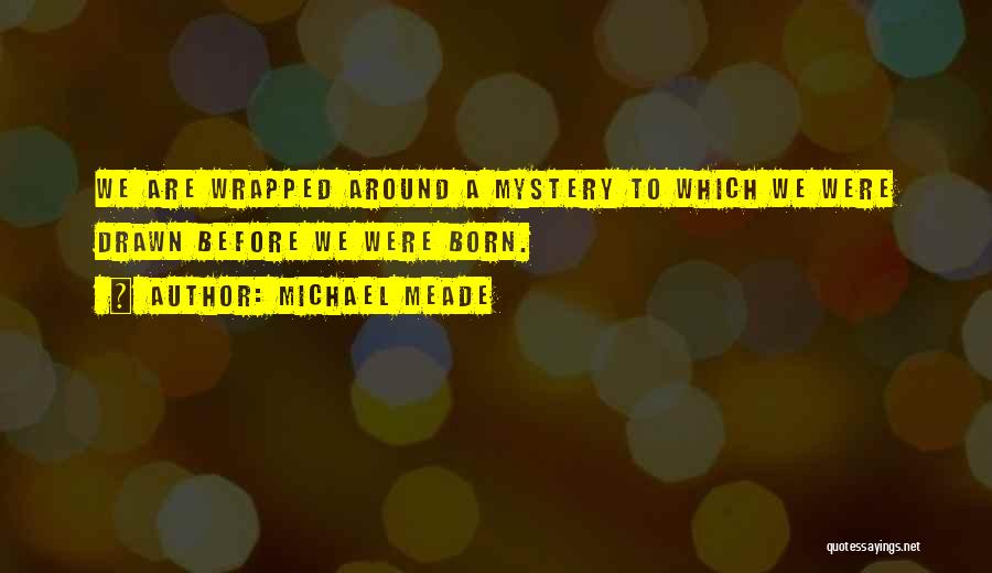 Michael Meade Quotes: We Are Wrapped Around A Mystery To Which We Were Drawn Before We Were Born.