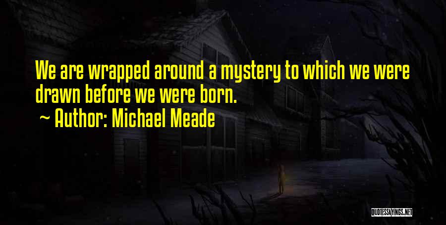 Michael Meade Quotes: We Are Wrapped Around A Mystery To Which We Were Drawn Before We Were Born.