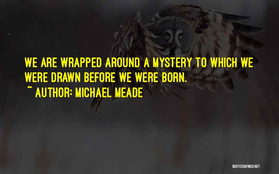 Michael Meade Quotes: We Are Wrapped Around A Mystery To Which We Were Drawn Before We Were Born.