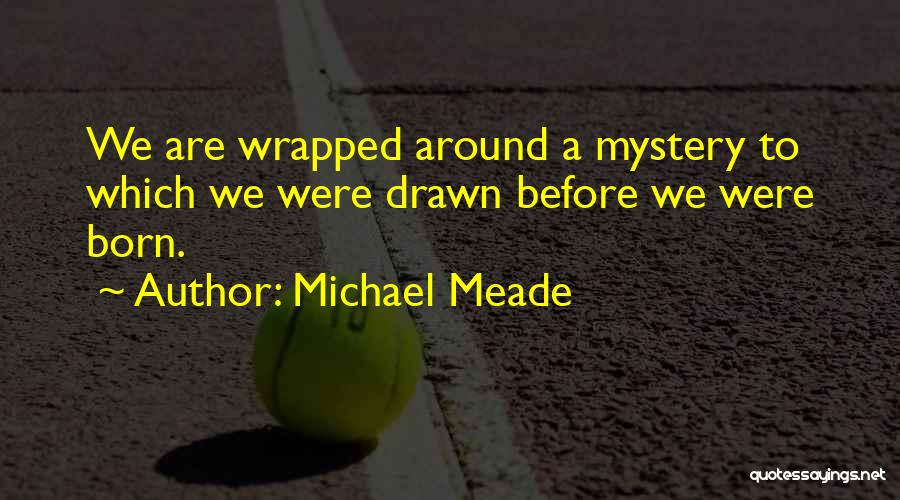 Michael Meade Quotes: We Are Wrapped Around A Mystery To Which We Were Drawn Before We Were Born.