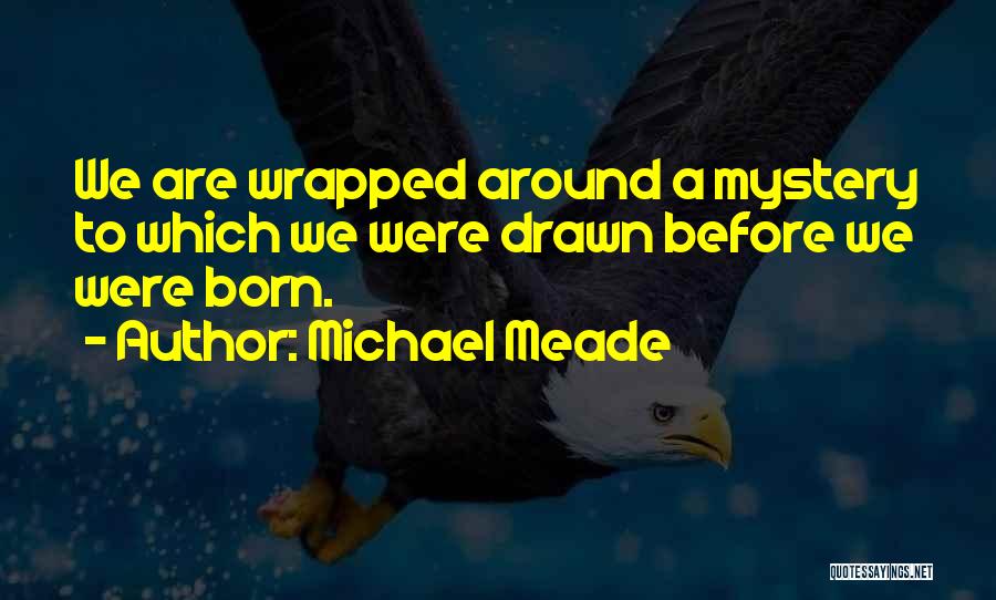 Michael Meade Quotes: We Are Wrapped Around A Mystery To Which We Were Drawn Before We Were Born.