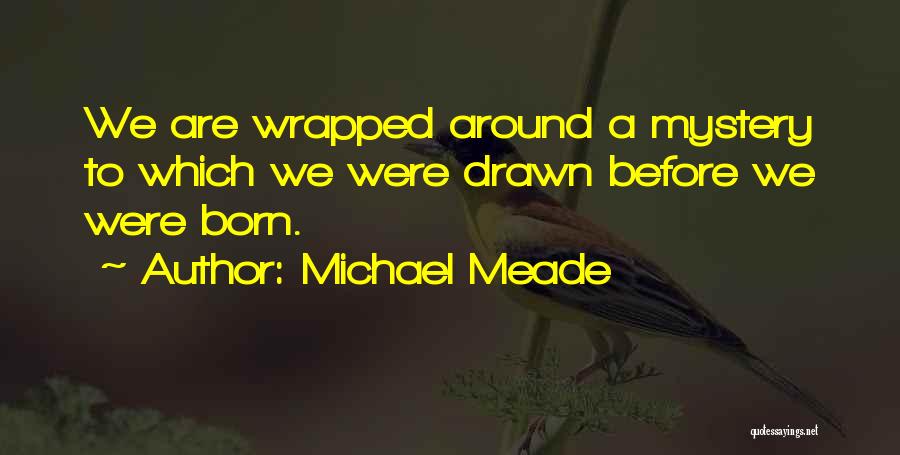 Michael Meade Quotes: We Are Wrapped Around A Mystery To Which We Were Drawn Before We Were Born.