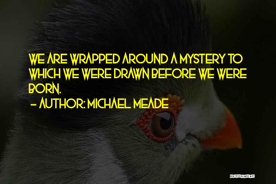 Michael Meade Quotes: We Are Wrapped Around A Mystery To Which We Were Drawn Before We Were Born.