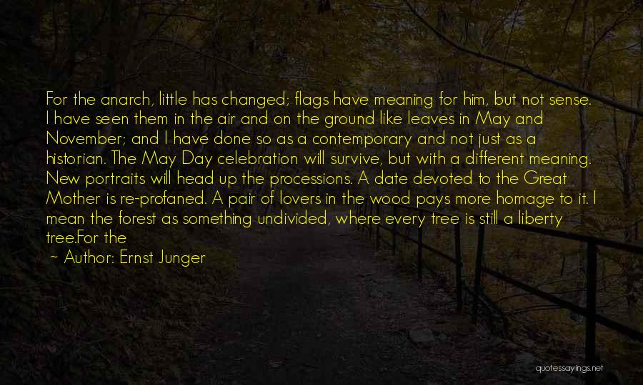 Ernst Junger Quotes: For The Anarch, Little Has Changed; Flags Have Meaning For Him, But Not Sense. I Have Seen Them In The