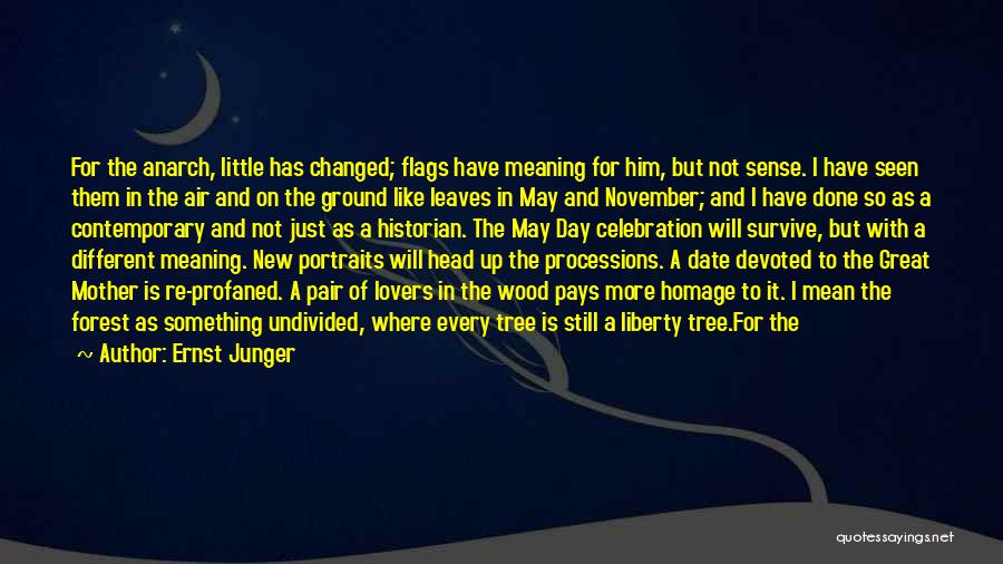 Ernst Junger Quotes: For The Anarch, Little Has Changed; Flags Have Meaning For Him, But Not Sense. I Have Seen Them In The