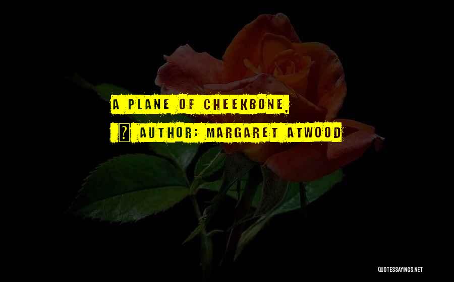 Margaret Atwood Quotes: A Plane Of Cheekbone,