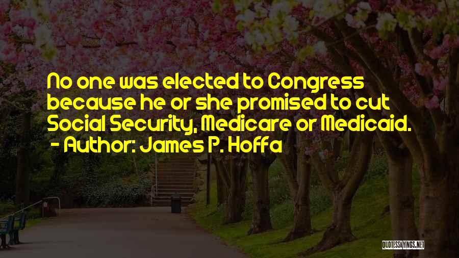 James P. Hoffa Quotes: No One Was Elected To Congress Because He Or She Promised To Cut Social Security, Medicare Or Medicaid.