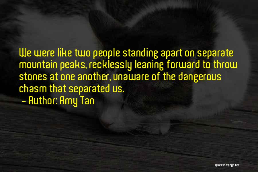 Amy Tan Quotes: We Were Like Two People Standing Apart On Separate Mountain Peaks, Recklessly Leaning Forward To Throw Stones At One Another,