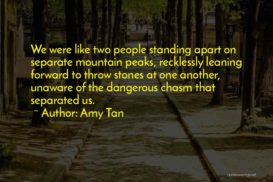 Amy Tan Quotes: We Were Like Two People Standing Apart On Separate Mountain Peaks, Recklessly Leaning Forward To Throw Stones At One Another,
