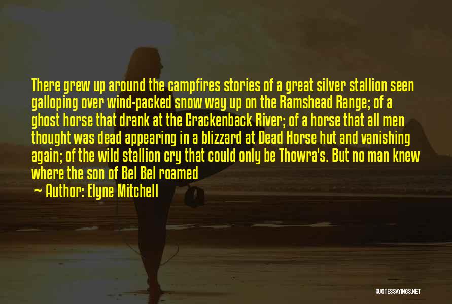 Elyne Mitchell Quotes: There Grew Up Around The Campfires Stories Of A Great Silver Stallion Seen Galloping Over Wind-packed Snow Way Up On