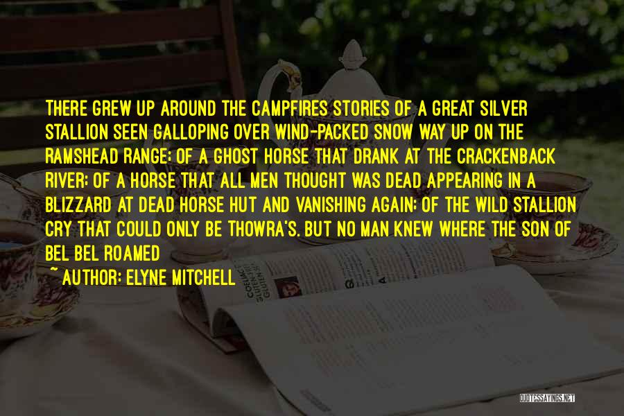 Elyne Mitchell Quotes: There Grew Up Around The Campfires Stories Of A Great Silver Stallion Seen Galloping Over Wind-packed Snow Way Up On