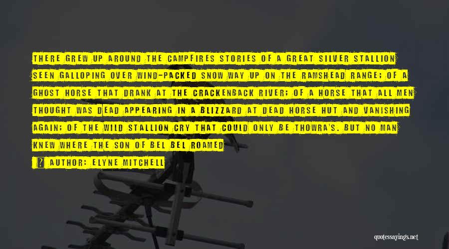 Elyne Mitchell Quotes: There Grew Up Around The Campfires Stories Of A Great Silver Stallion Seen Galloping Over Wind-packed Snow Way Up On