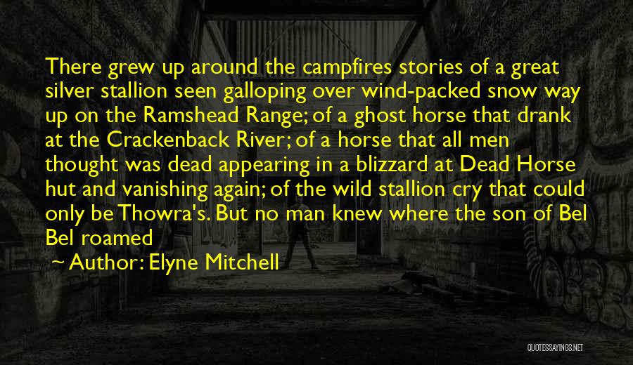 Elyne Mitchell Quotes: There Grew Up Around The Campfires Stories Of A Great Silver Stallion Seen Galloping Over Wind-packed Snow Way Up On