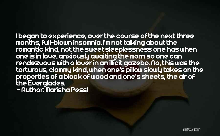 Marisha Pessl Quotes: I Began To Experience, Over The Course Of The Next Three Months, Full-blown Insomnia. I'm Not Talking About The Romantic