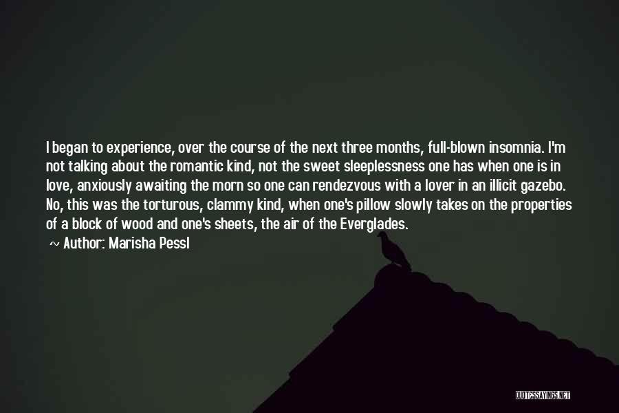 Marisha Pessl Quotes: I Began To Experience, Over The Course Of The Next Three Months, Full-blown Insomnia. I'm Not Talking About The Romantic