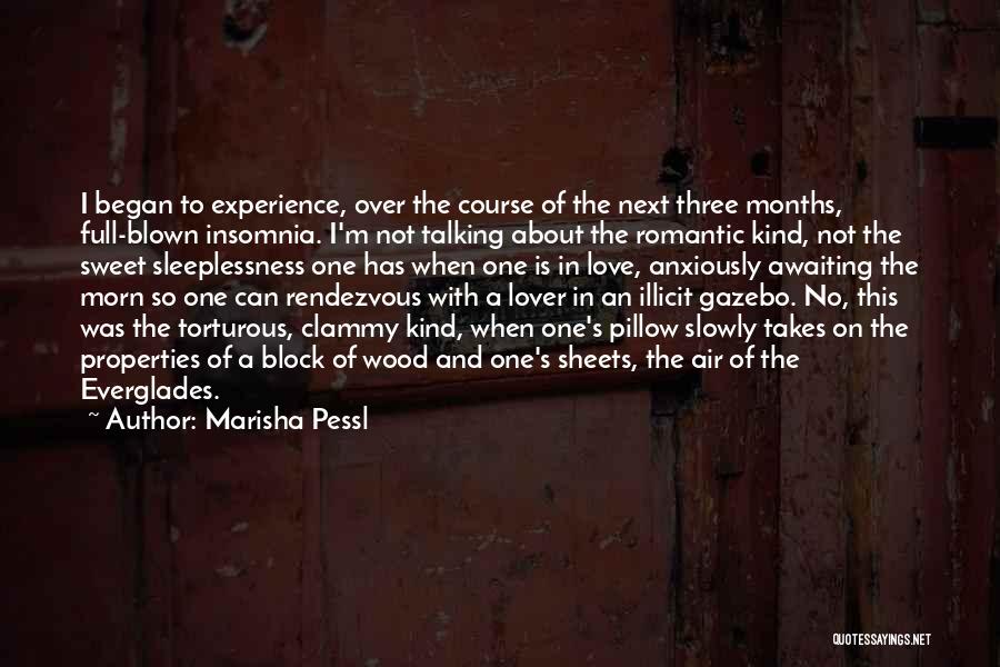 Marisha Pessl Quotes: I Began To Experience, Over The Course Of The Next Three Months, Full-blown Insomnia. I'm Not Talking About The Romantic