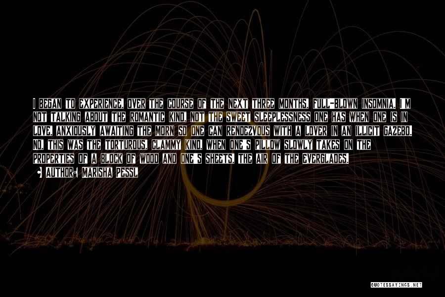 Marisha Pessl Quotes: I Began To Experience, Over The Course Of The Next Three Months, Full-blown Insomnia. I'm Not Talking About The Romantic