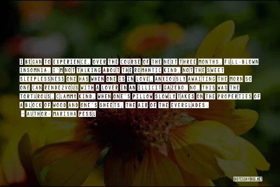 Marisha Pessl Quotes: I Began To Experience, Over The Course Of The Next Three Months, Full-blown Insomnia. I'm Not Talking About The Romantic