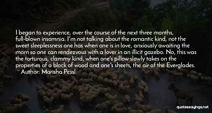 Marisha Pessl Quotes: I Began To Experience, Over The Course Of The Next Three Months, Full-blown Insomnia. I'm Not Talking About The Romantic