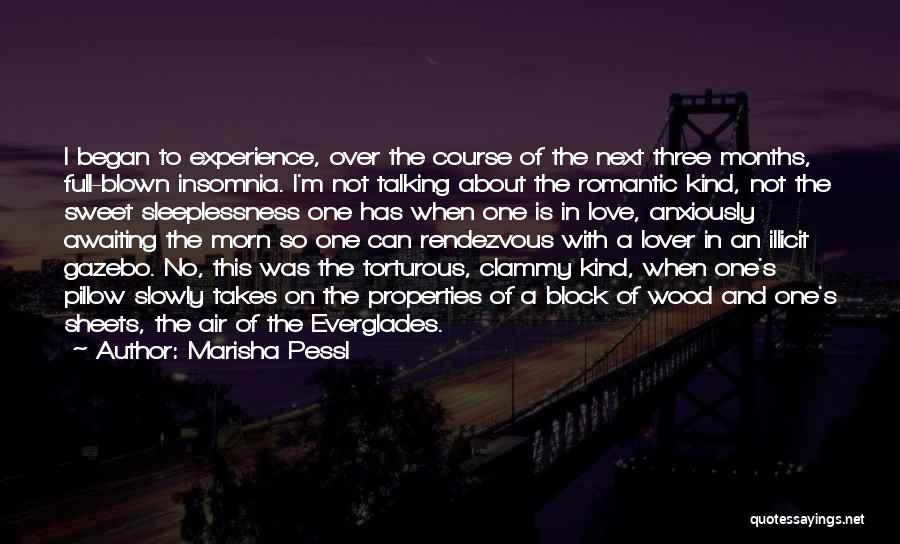 Marisha Pessl Quotes: I Began To Experience, Over The Course Of The Next Three Months, Full-blown Insomnia. I'm Not Talking About The Romantic