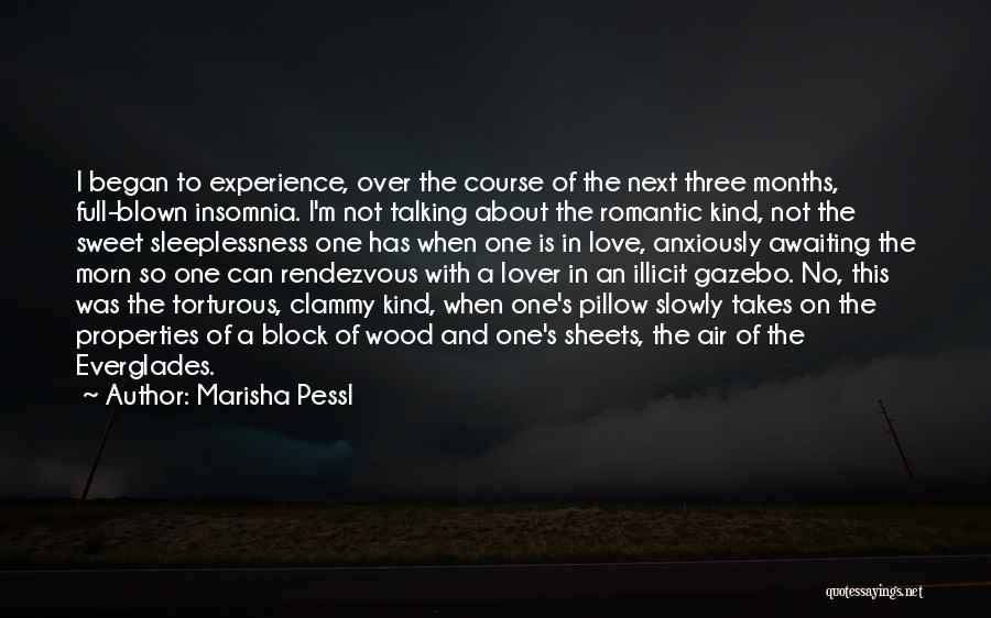 Marisha Pessl Quotes: I Began To Experience, Over The Course Of The Next Three Months, Full-blown Insomnia. I'm Not Talking About The Romantic