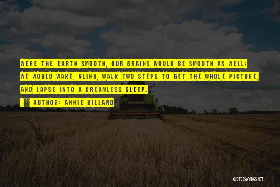 Annie Dillard Quotes: Were The Earth Smooth, Our Brains Would Be Smooth As Well; We Would Wake, Blink, Walk Two Steps To Get