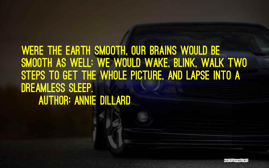 Annie Dillard Quotes: Were The Earth Smooth, Our Brains Would Be Smooth As Well; We Would Wake, Blink, Walk Two Steps To Get