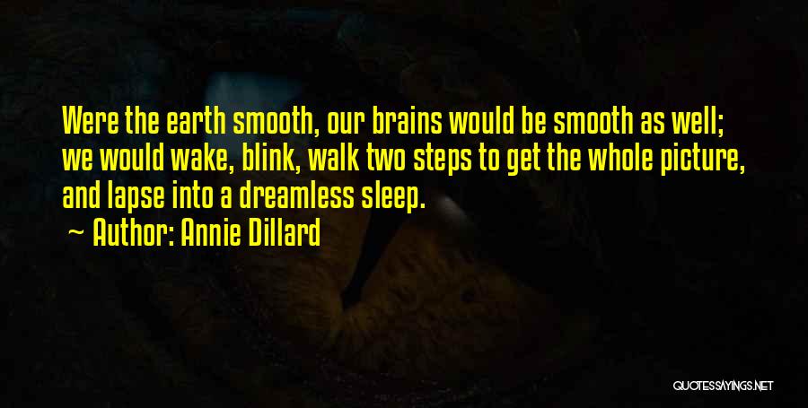 Annie Dillard Quotes: Were The Earth Smooth, Our Brains Would Be Smooth As Well; We Would Wake, Blink, Walk Two Steps To Get