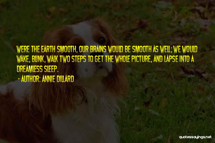 Annie Dillard Quotes: Were The Earth Smooth, Our Brains Would Be Smooth As Well; We Would Wake, Blink, Walk Two Steps To Get