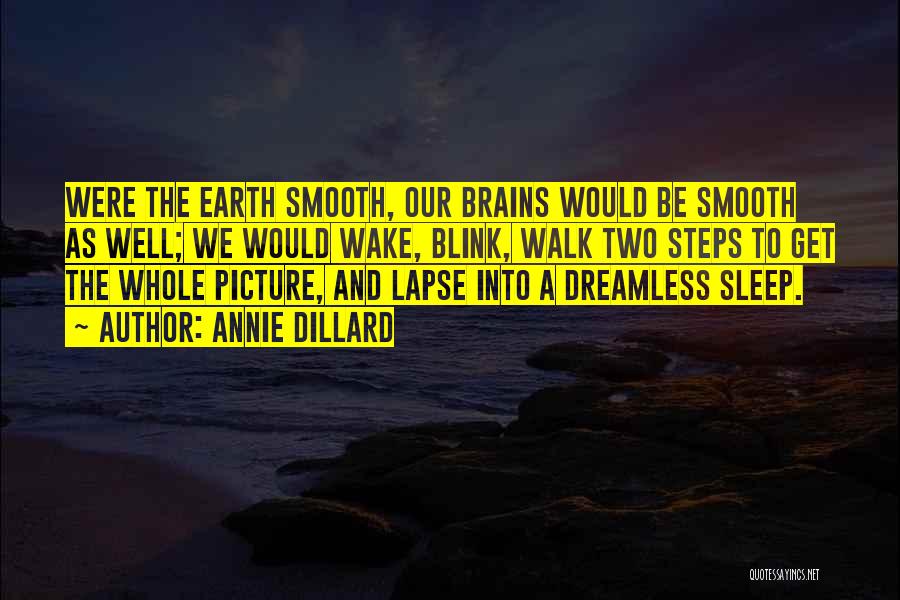 Annie Dillard Quotes: Were The Earth Smooth, Our Brains Would Be Smooth As Well; We Would Wake, Blink, Walk Two Steps To Get