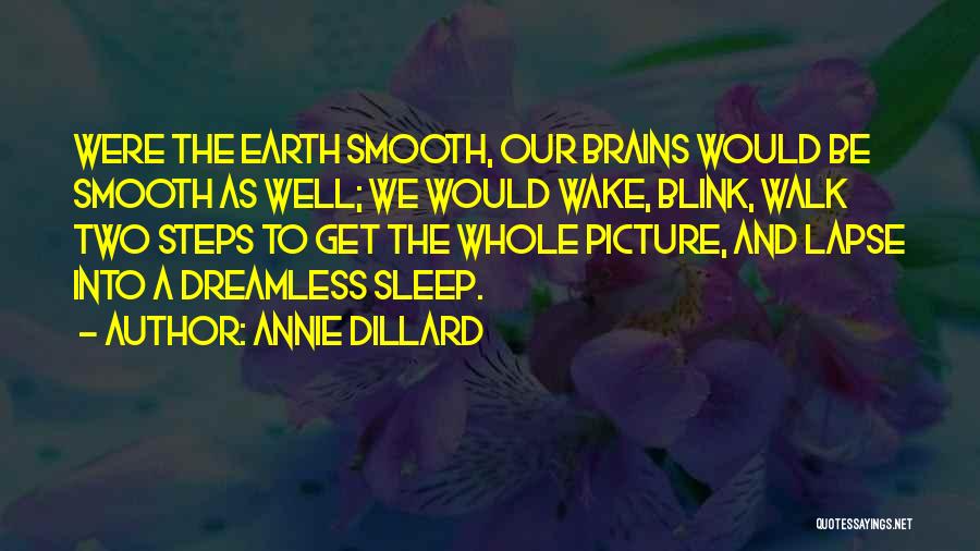 Annie Dillard Quotes: Were The Earth Smooth, Our Brains Would Be Smooth As Well; We Would Wake, Blink, Walk Two Steps To Get