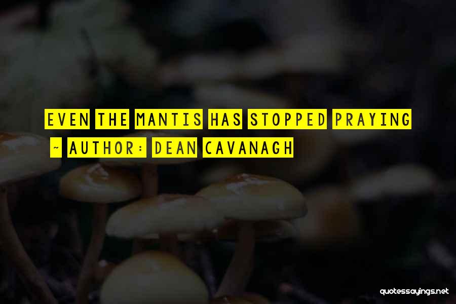 Dean Cavanagh Quotes: Even The Mantis Has Stopped Praying