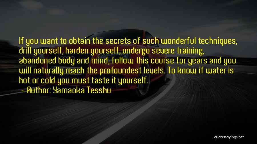 Yamaoka Tesshu Quotes: If You Want To Obtain The Secrets Of Such Wonderful Techniques, Drill Yourself, Harden Yourself, Undergo Severe Training, Abandoned Body