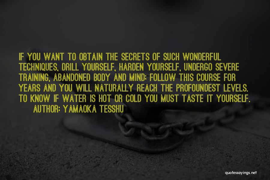 Yamaoka Tesshu Quotes: If You Want To Obtain The Secrets Of Such Wonderful Techniques, Drill Yourself, Harden Yourself, Undergo Severe Training, Abandoned Body