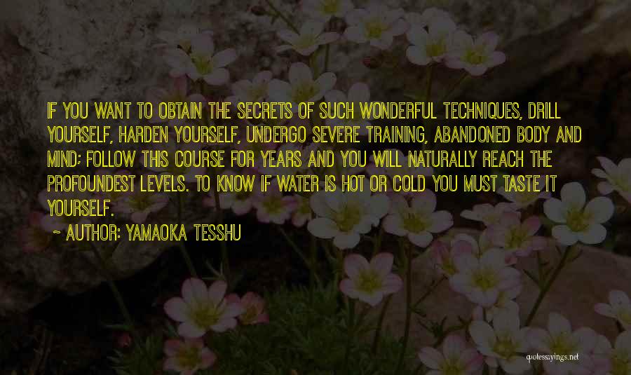 Yamaoka Tesshu Quotes: If You Want To Obtain The Secrets Of Such Wonderful Techniques, Drill Yourself, Harden Yourself, Undergo Severe Training, Abandoned Body