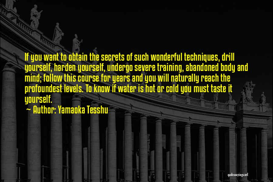 Yamaoka Tesshu Quotes: If You Want To Obtain The Secrets Of Such Wonderful Techniques, Drill Yourself, Harden Yourself, Undergo Severe Training, Abandoned Body
