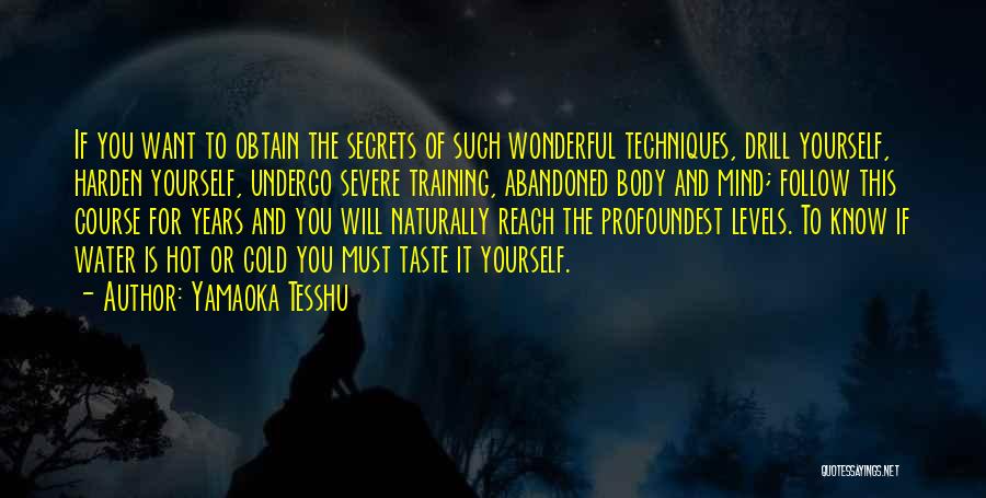 Yamaoka Tesshu Quotes: If You Want To Obtain The Secrets Of Such Wonderful Techniques, Drill Yourself, Harden Yourself, Undergo Severe Training, Abandoned Body