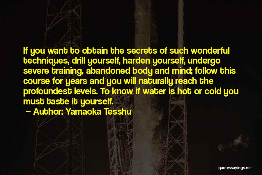 Yamaoka Tesshu Quotes: If You Want To Obtain The Secrets Of Such Wonderful Techniques, Drill Yourself, Harden Yourself, Undergo Severe Training, Abandoned Body