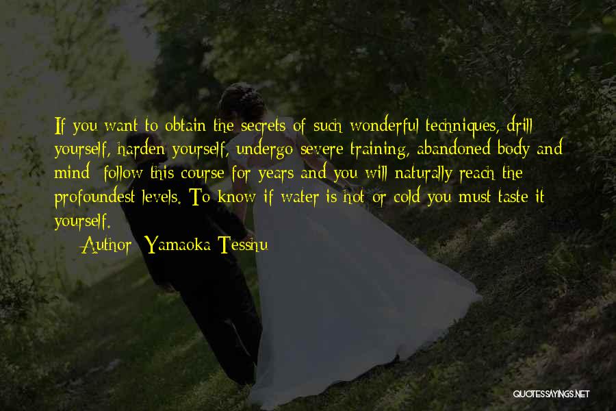 Yamaoka Tesshu Quotes: If You Want To Obtain The Secrets Of Such Wonderful Techniques, Drill Yourself, Harden Yourself, Undergo Severe Training, Abandoned Body