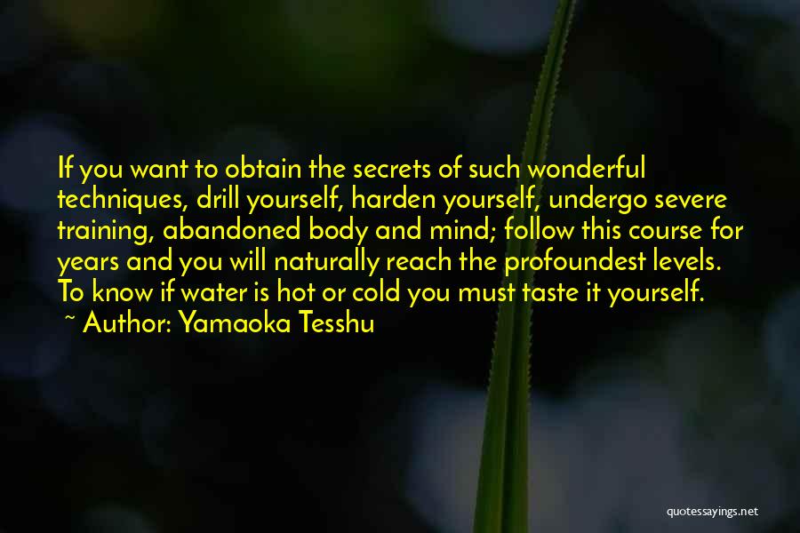 Yamaoka Tesshu Quotes: If You Want To Obtain The Secrets Of Such Wonderful Techniques, Drill Yourself, Harden Yourself, Undergo Severe Training, Abandoned Body